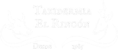 Logotipo Taxidermia El Rincón